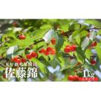 ふるさと納税 福島市 さくらんぼ「佐藤錦」1kg(Lサイズ)【2025年発送】No.2715