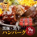 黒豚×黒牛ハンバーグ9個セット K098-005