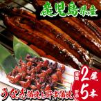 うなぎ 蒲焼 大 2尾