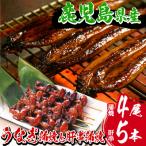 うなぎ蒲焼 4尾