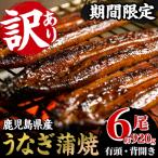 ふるさと納税 いちき串木野市 【訳あり】国産うなぎ(鹿児島県産うなぎ)蒲焼 6尾(約920g超え)