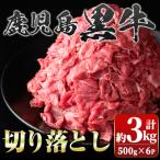 牛肉 すき焼き B01030 鹿児島黒牛 切り落とし