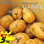 fu.... налог Satsuma река внутри город [ перевод есть . рекомендация!] Satsuma ........ картофель 5kg(nisiyutaka) время ограничено ZS-645