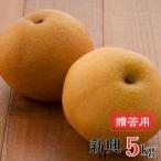 新興 和梨 5kg