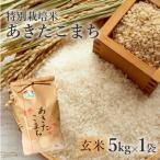 ふるさと納税 能代市 令和7年産 玄米 あきたこまち 5kg  特別栽培米[No.5335-0354]