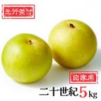 新潟県産 二十世紀梨 5kg (訳あり)