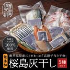 桜島灰干し 5種詰合せ K178-001