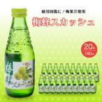 炭酸飲料 梅蜂 スカッシュ 180ml×20本