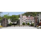 鹿児島市への寄付（返礼品なし）