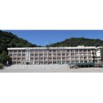 鹿児島市への寄付（返礼品なし）