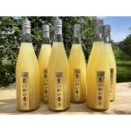 ふるさと納税 伊那市 希少なりんご!あいかの香り 100%りんごジュース 720ml×6本入り