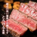 牛肉 ステーキ 岩元精肉店 産黒毛和牛A4等級