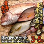 天然 鮮魚詰め合わせ 合計約2.8-3.2kg 3種以上
