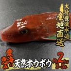 天然 ホウボウ 約2kg
