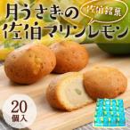 月うさぎの佐伯マリンレモン 計20個