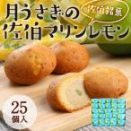 月うさぎの佐伯マリンレモン 計25個
