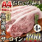 塩味 牛ハラミ 計800g
