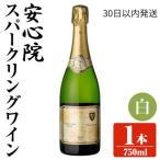 ふるさと納税 宇佐市 安心院スパークリングワイン 白(750ml) 【107300501】【時枝酒店】