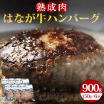 ふるさと納税 西予市 はなが牛100%ハンバーグ