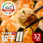 ふるさと納税 鹿児島市 【日本全国!ご当地冷凍食品大賞 2024-2025 優秀賞受賞!】鹿児島黒豚100%餃子 32個入り