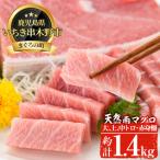 南まぐろ 約1.4kg