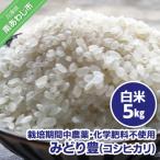 農薬 化学肥料不使用 白米5kg みどり豊