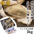 ふるさと納税 多度津町 多度津白方 殻付活牡蠣カンカン焼セット 3kg (加熱用)【H-1】