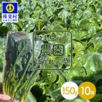 はまちゃん農園の美味しいほうれん草 150g×10袋