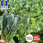 はまちゃん農園の美味しいほうれん草 150g×20袋
