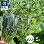 はまちゃん農園の美味しいほうれん草 200g×5袋
