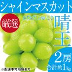 プレミアムシャインマスカット 2房 1kg以上