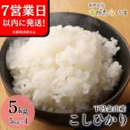 即納 こしひかり 5kg