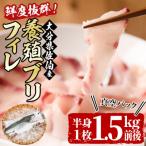 養殖 ブリフィーレ 1.5kg前後