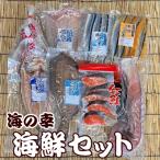 ふるさと納税 根室市 海鮮セットA(さんま2種・タコ・干物4種・紅鮭) C-36011