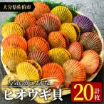 冷凍 ヒオウギ貝 計20枚