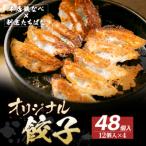 ふるさと納税 福智町 本店鉄なべ×割烹たちばな オリジナル餃子48個