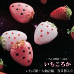 もなか いちころか 10個入り