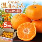 むなかた温州みかん 5kg