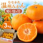 むなかた温州みかん 3kg