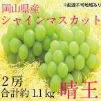厳選 シャインマスカット 2房 合計1.1kg以上