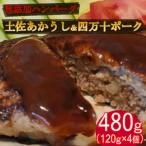 ハンバーガー屋の本気ハンバーグ480g 120g×4個