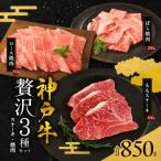 神戸牛 贅沢セットC 計850g