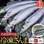 冷凍さんま5尾×6P 計30尾