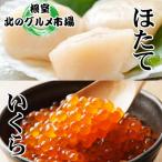 ふるさと納税 根室市 いくら醤油漬け100g×2P ほたて貝柱500g×1P B-76006