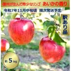 ふるさと納税 伊那市 令和7年11月以降発送 傷等訳あり・ご家庭用 甘い!希少!りんご あいかの香り