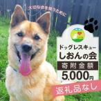 浜中町への寄付（返礼品なし）