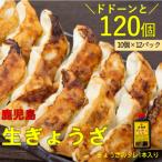 鹿児島 生ぎょうざ 120個セット 10個×12パック