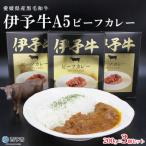 <ご当地カレー 伊予牛A5ビーフカレー