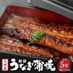 ふるさと納税 薩摩川内市 九州産 無頭 うなぎ 蒲焼き 約170g×5尾 国産 ウナギ 蒲焼 DSR-102