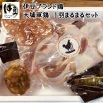 天城軍鶏一羽まるまるセット 037-002